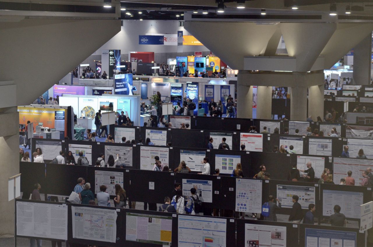 Affectionally called "DragonCon for neuroscience," the annual Society for Neuroscience meeting is one of the largest academic conferences in the world.