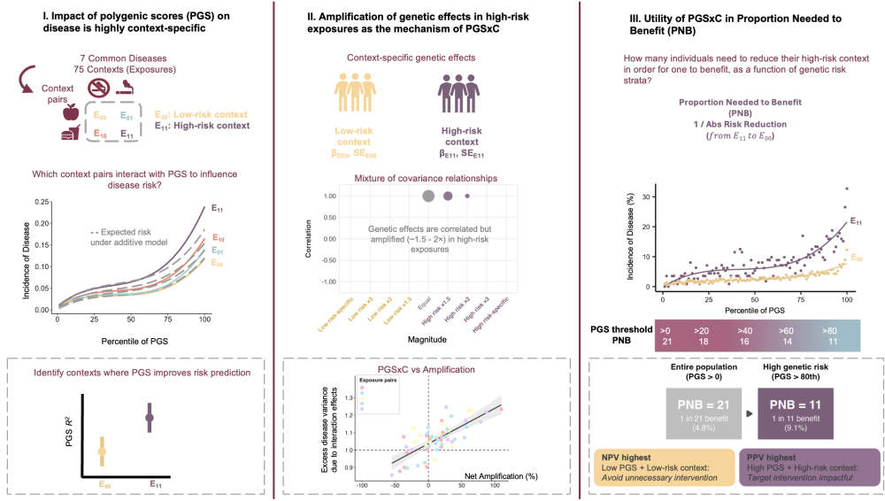 Schematic Overview of the Study