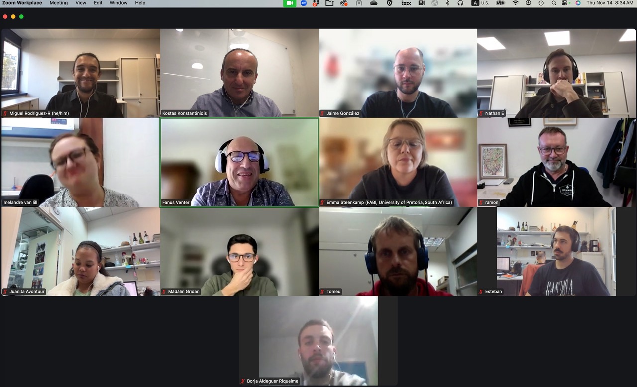 A screenshot of 13 people in a video conference meeting