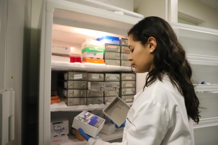 SSI founder and fourth-year biomedical engineering student Nicole Diaz shows how samples are kept in cold storage in the Sanger lab.