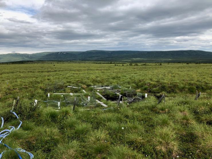 Test plot in Alaska tundra