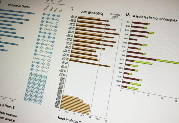 Chart of E. coli infection