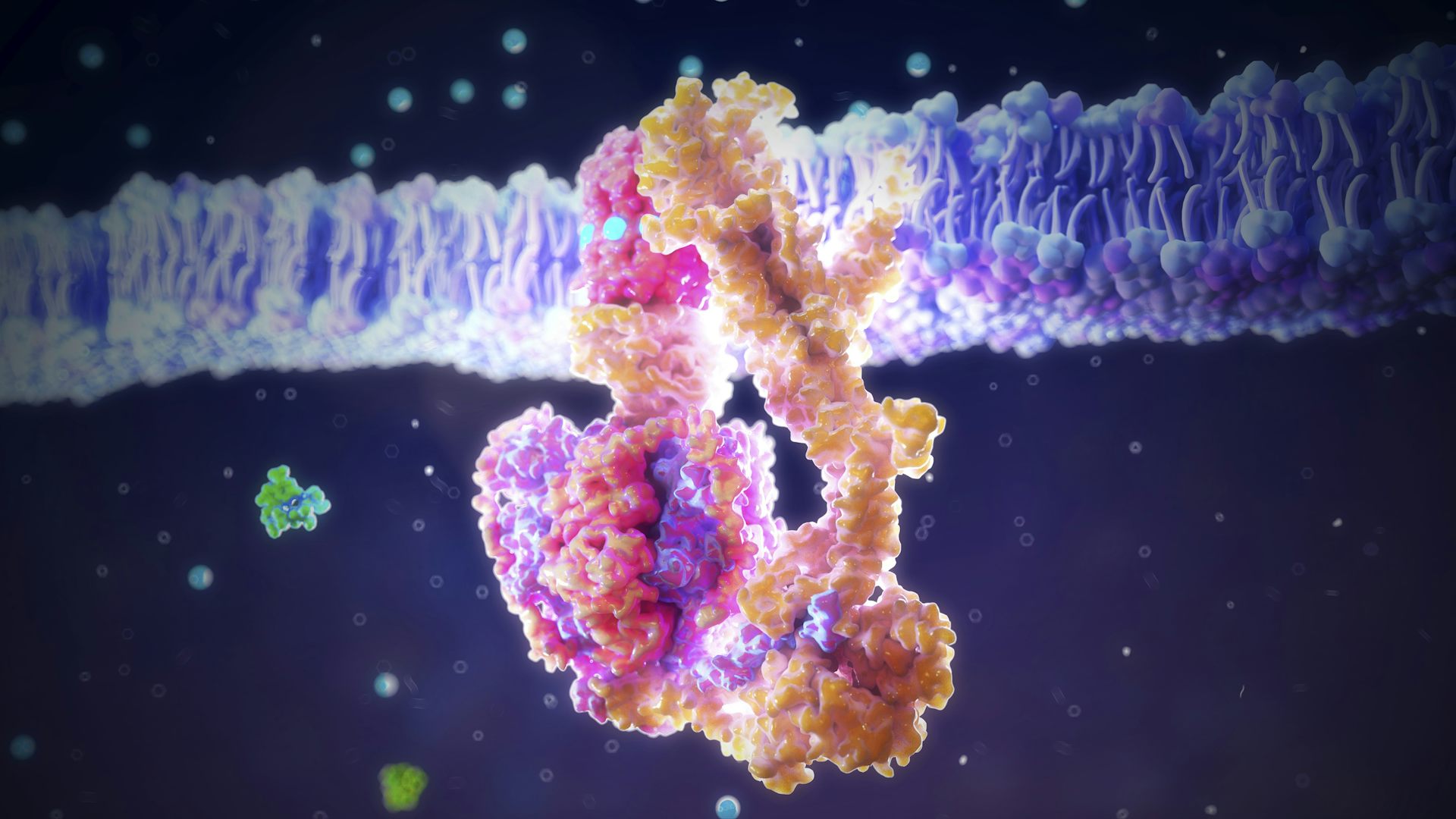 <p>ATP synthase is an enzyme that has been using phosphate to generate life’s energy for millions of years. <a href="https://www.gettyimages.com/detail/photo/synthase-enzyme-complex-illustration-royalty-free-image/1328336178">Nanoclustering/Science Photo Library via Getty Images</a></p> ATP synthase is an enzyme that has been using phosphate to generate life’s energy for millions of years.