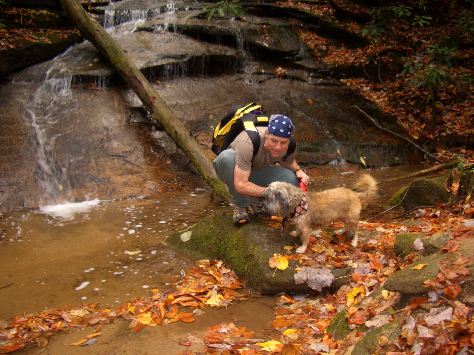 Hiking with Fido in the North Georgia mountains