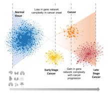 A graphic showing network complexity during various stages of cancer. (Graphic courtesy Zainab Arshad)