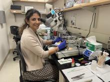 Farzaneh Najafi, assistant professor in the School of Biological Sciences at Georgia Tech, conducting research in her lab.