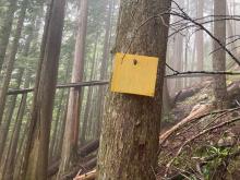 A placard still standing from the original surveys conducted in the early 90's. Finding these original sites was a "scavenger hunt," Freeman says. (Credit: Benjamin Freeman)