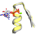 Schematic representation of cofactor-bound Walker A P-loops. 