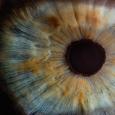 A human eye
